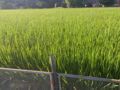 ≪東大阪≫ゆるりとした時が流れるグループホーム♪