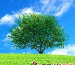 11月オープン小規模多機能/グループホーム介護福祉士時給1350円|伊丹ドンキ近く