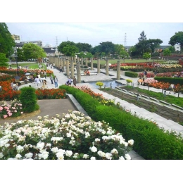 伊丹市|保育園と交流のある賑やかなデイサービス♪