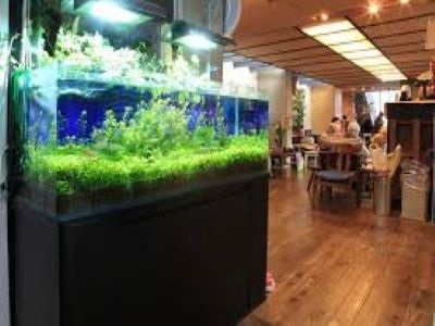 紹予|初任者~時給1320円デイ介護職|個別レク|千本今出川