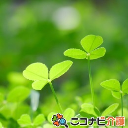 実務者時給1300円~介護職|月~金時間固定&残業無|星田駅前