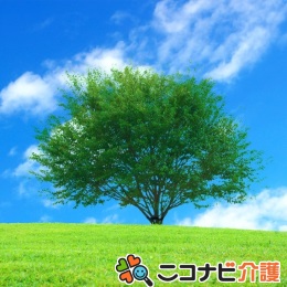リハビリ補助◆定着率抜群!福利厚生充実♪